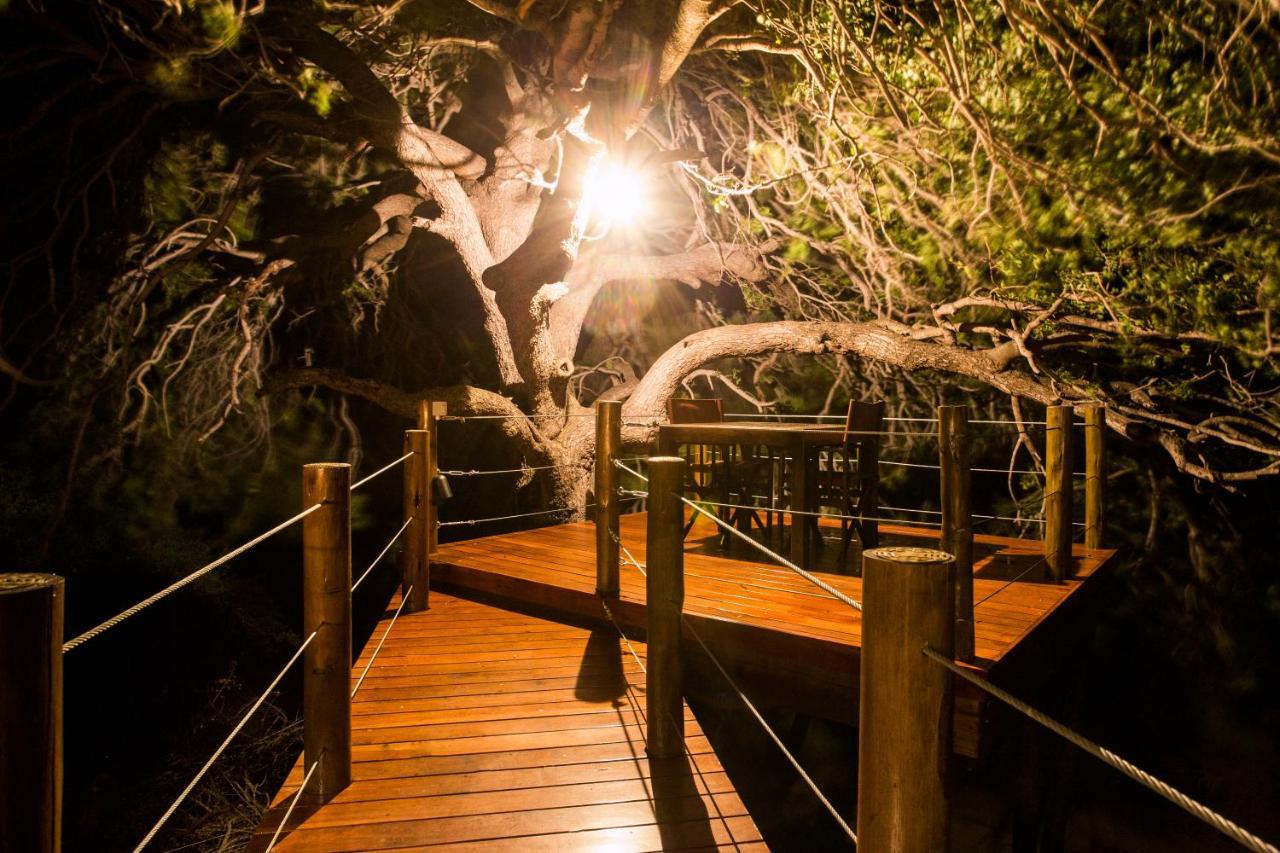 Naledi Lodges Balule Wildreservaat Buitenkant foto